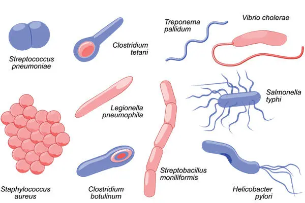 Is Microbiology Hard? - Rish Academy