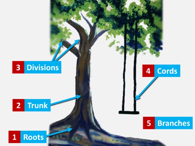 brachial plexus drawing