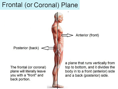 frontal-plane