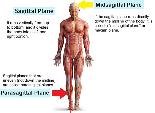 midsagittal-plane