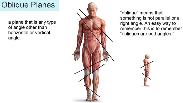 oblique-plane