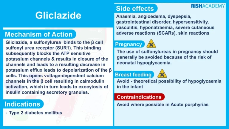 Classification of Anti Diabetic Drugs gliclazide