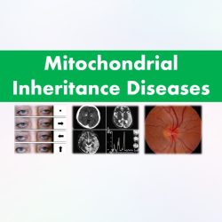 Mitochondrial-Inheritance-Examples-rish-academy-img