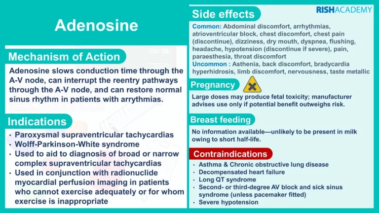 nursing pharmacology flashcards antiarrythmatics adenosine