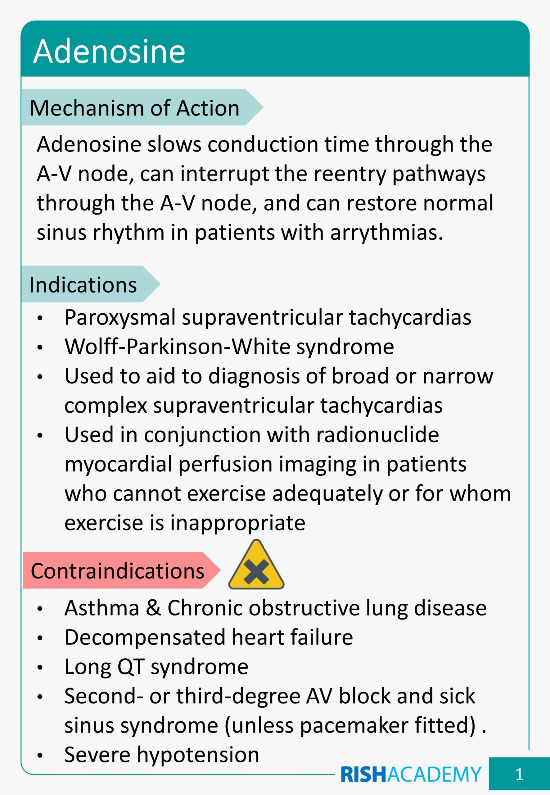 Slide2-scaled.jpg