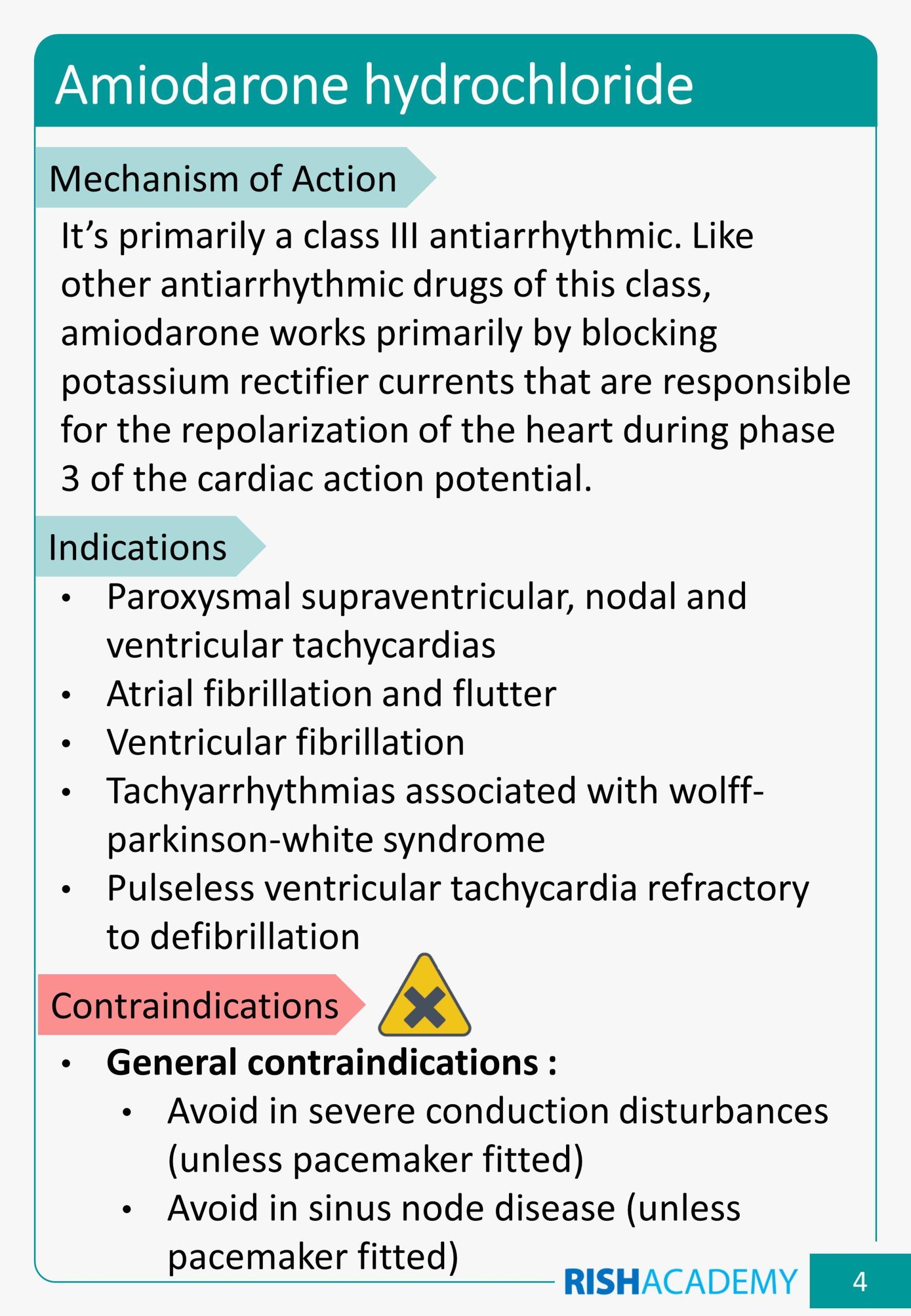 Slide5-scaled.jpg