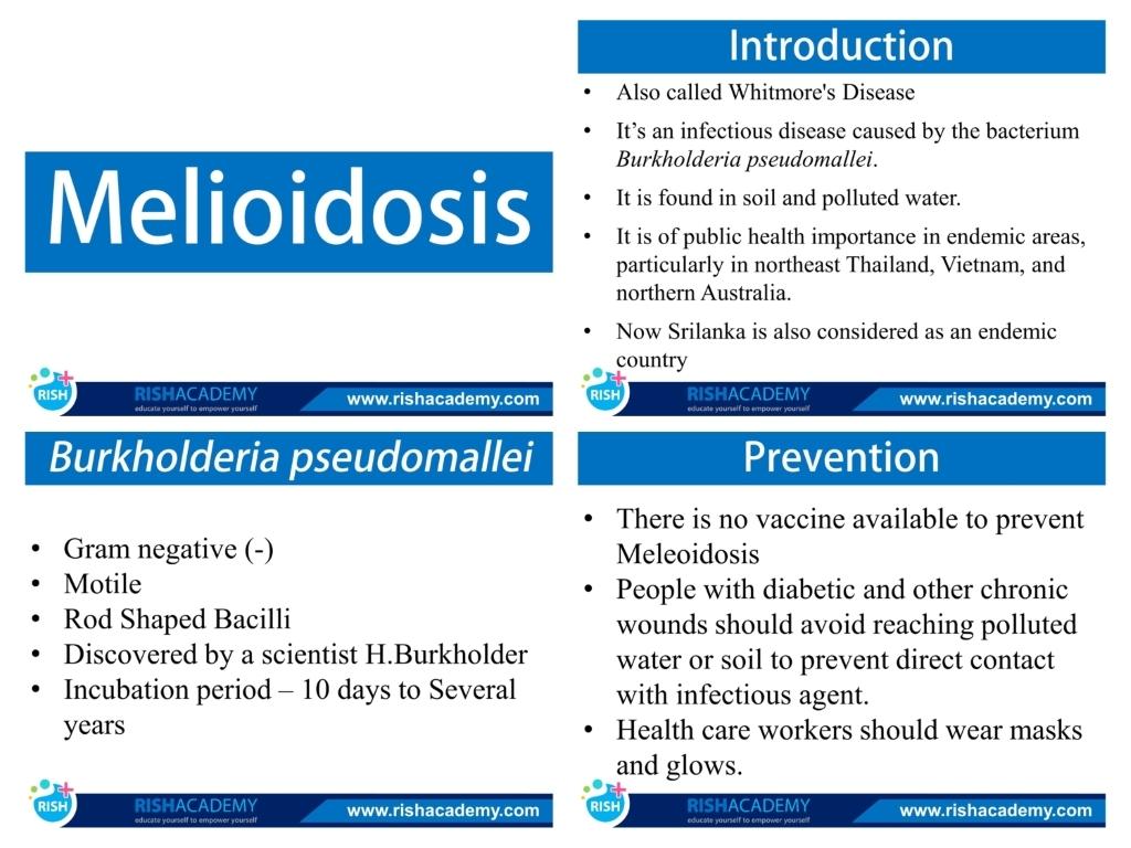 nursing-notes-combo-package-nexqute-10.jpg