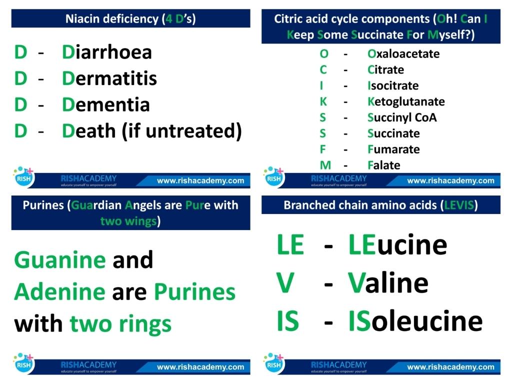 nursing-notes-combo-package-nexqute-2.jpg