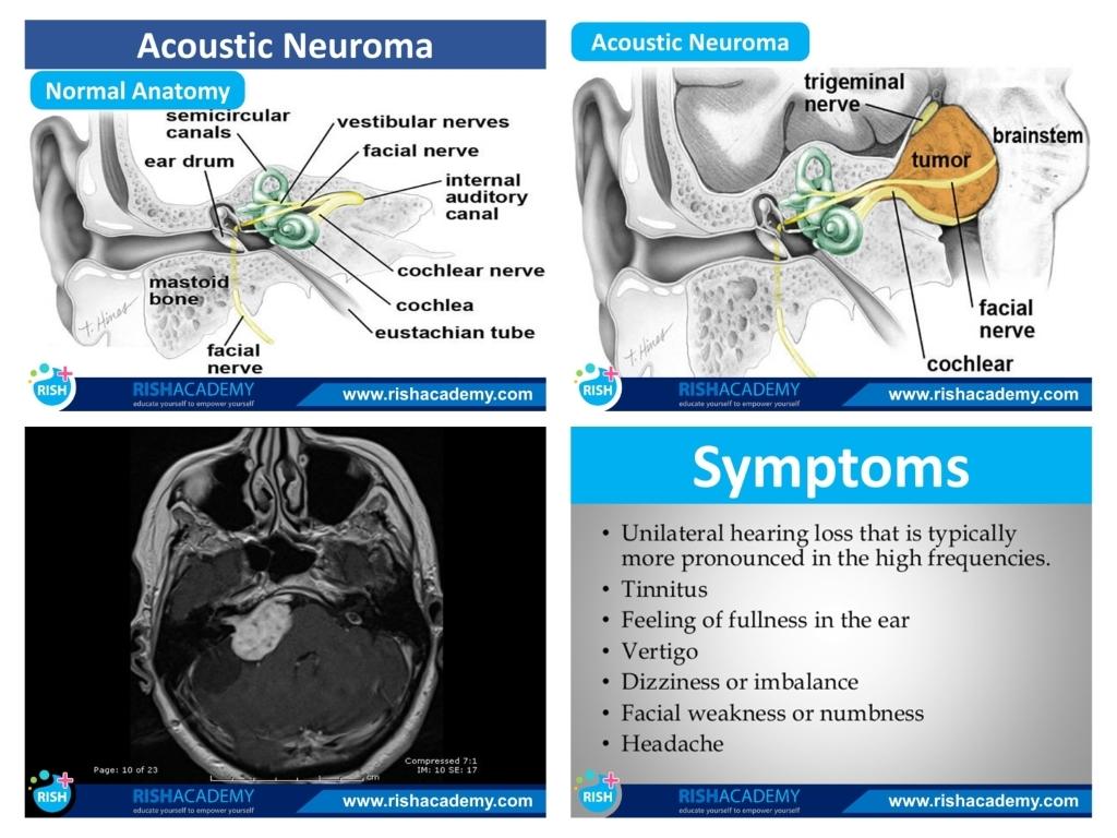 nursing-notes-combo-package-nexqute-5.jpg