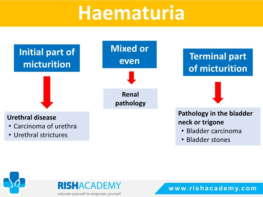 Slide10