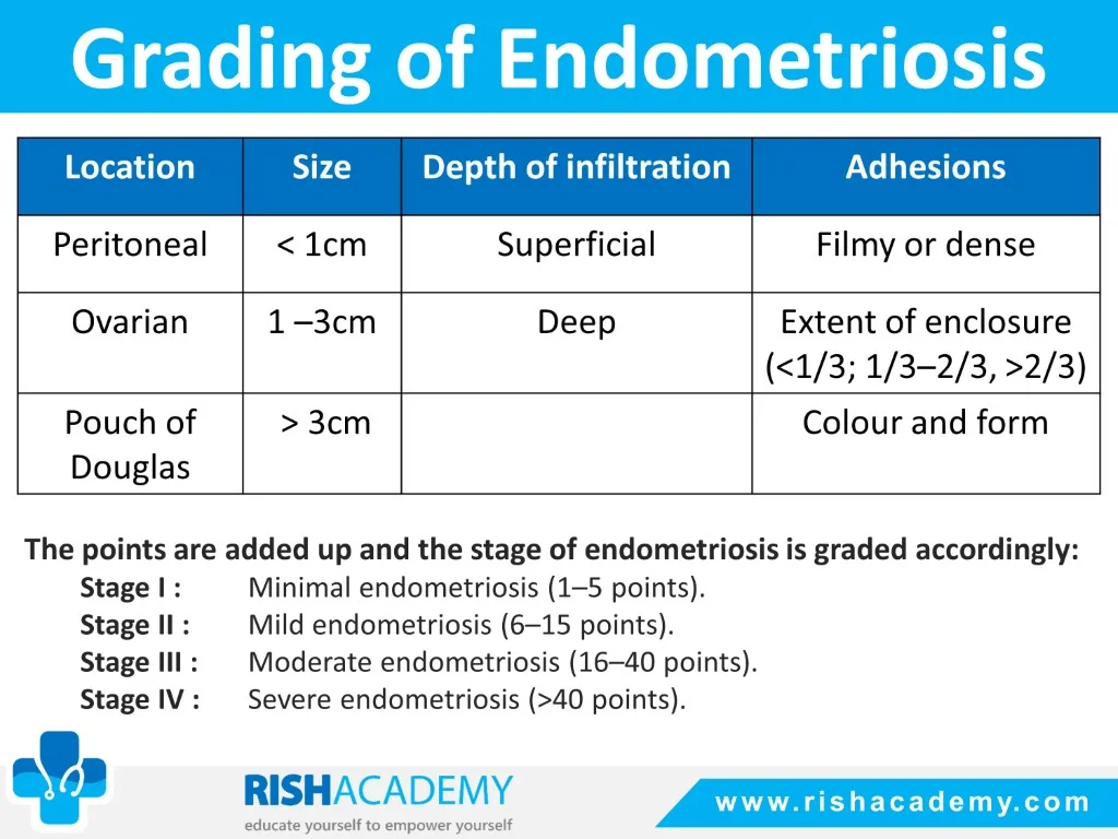 Slide11