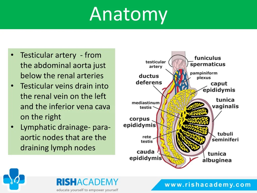 Slide2