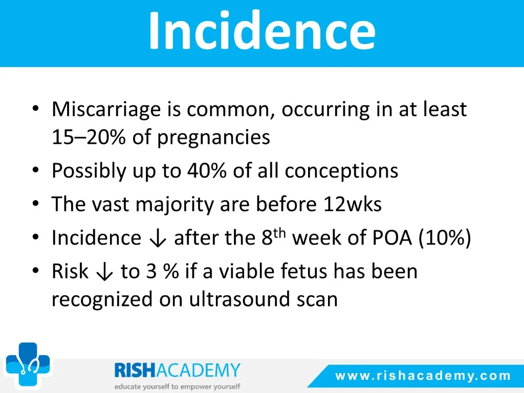 Slide3