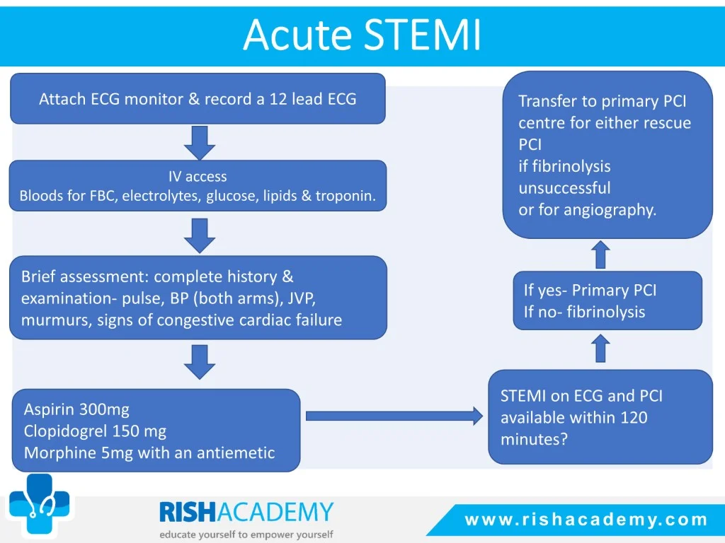 Slide5