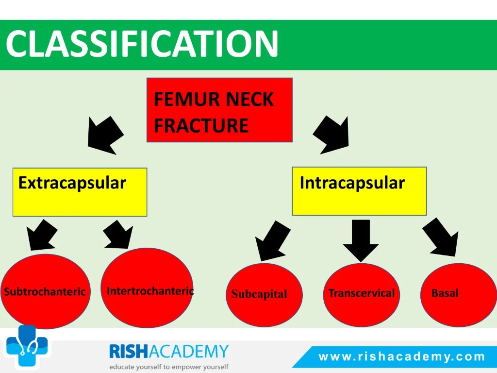 Slide5