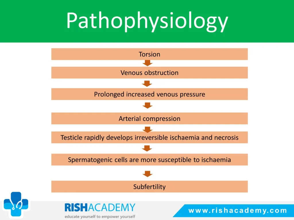 Slide7