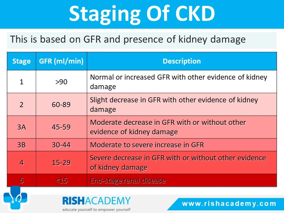 Rish Academy Clinical Medicine Sample Images (3)