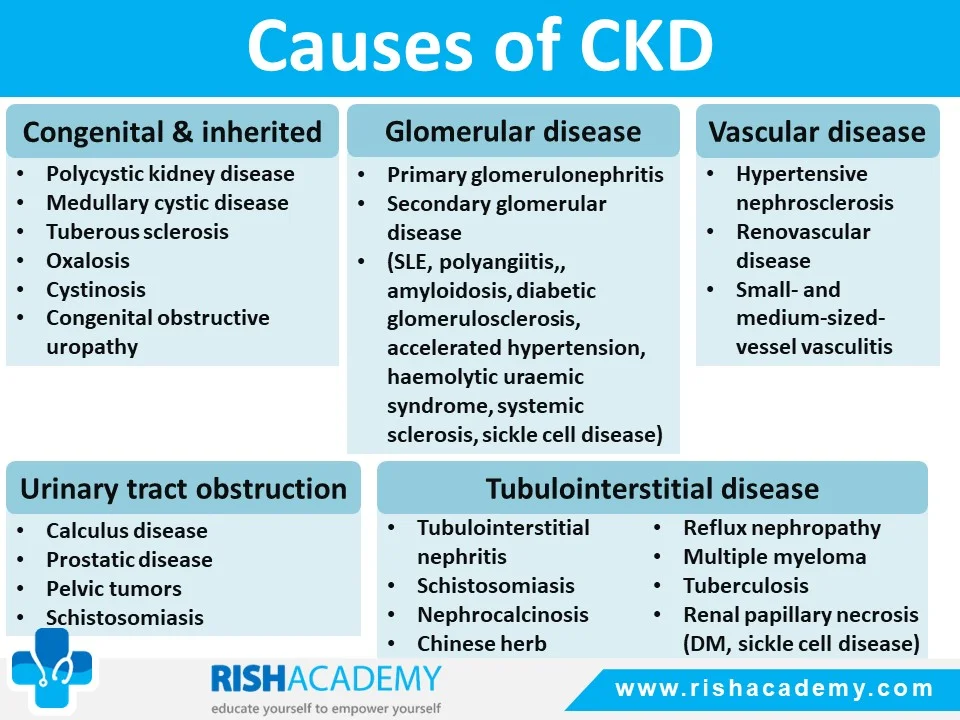 Rish Academy Clinical Medicine Sample Images (4)