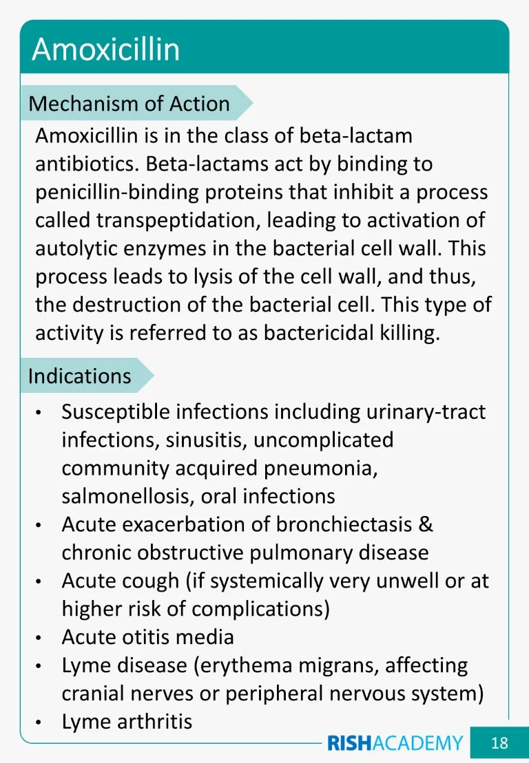 Slide24