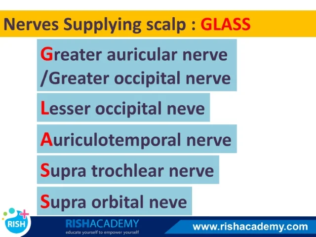 rish academy medical mnemonics book sample image (5)