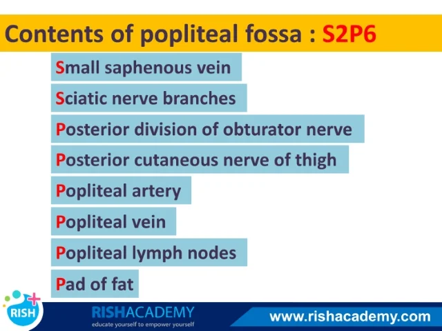 rish academy medical mnemonics book sample image (7)