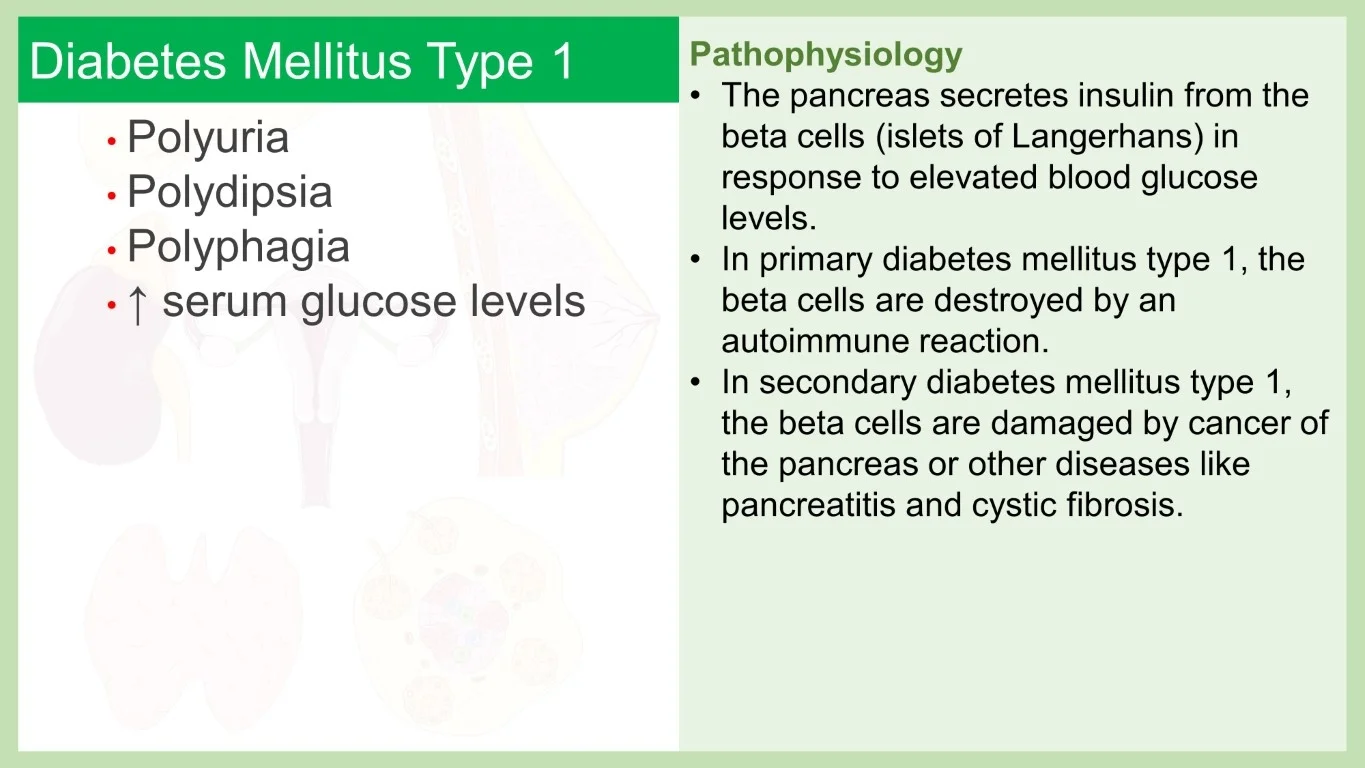 rish academy pathophysiology made easy sample image (12)