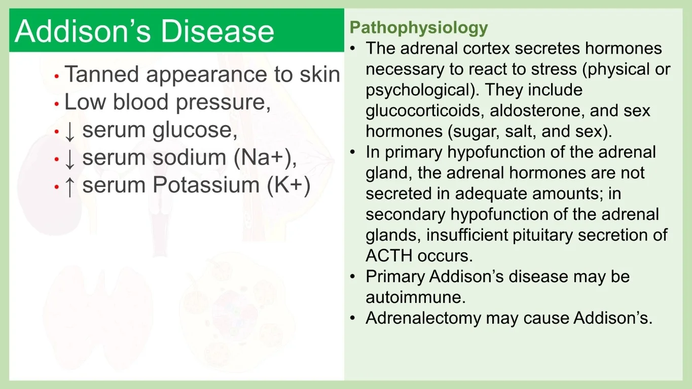 rish academy pathophysiology made easy sample image (15)