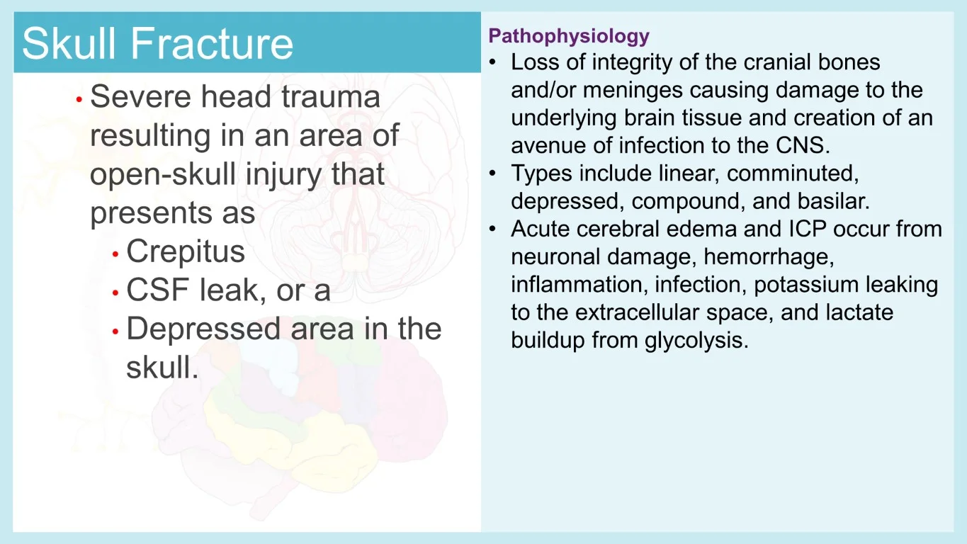 rish academy pathophysiology made easy sample image (16)