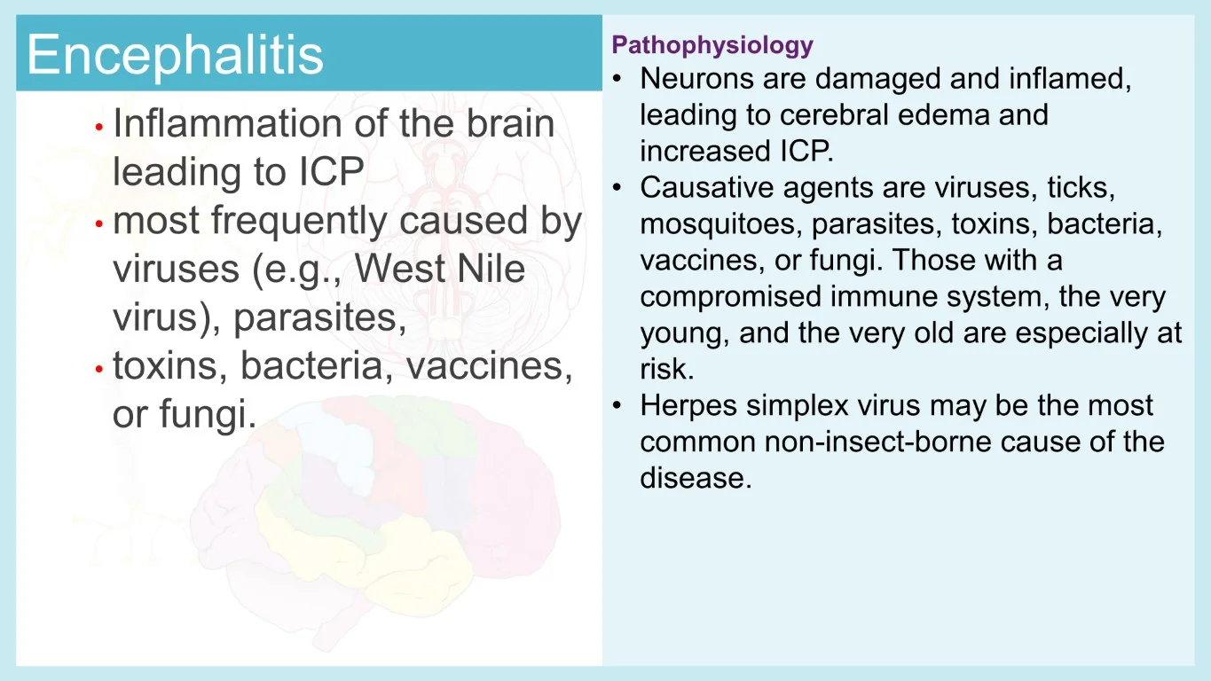 rish academy pathophysiology made easy sample image (2)