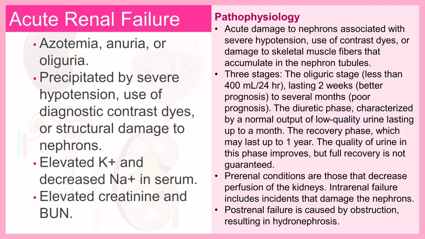 rish academy pathophysiology made easy sample image (7)