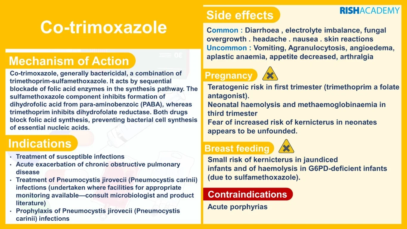 rish academy pharmacology essentials flashcards book sample image (12)