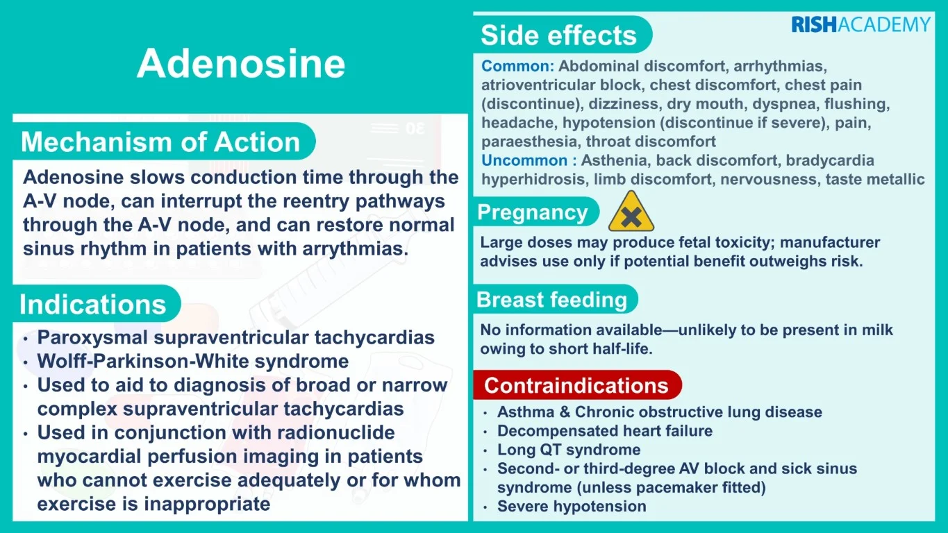 rish academy pharmacology essentials flashcards book sample image (13)