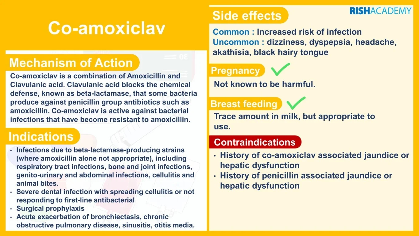 rish academy pharmacology essentials flashcards book sample image (15)