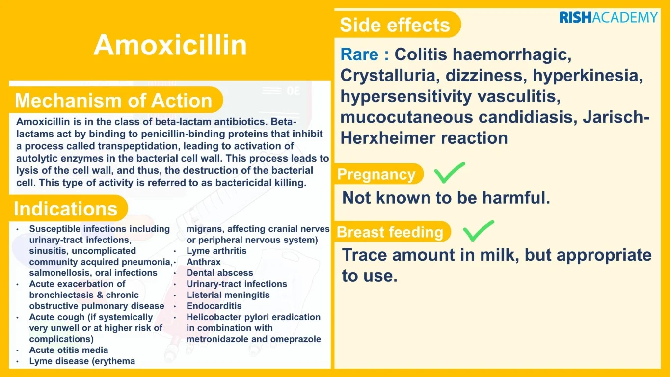 rish academy pharmacology essentials flashcards book sample image (3)