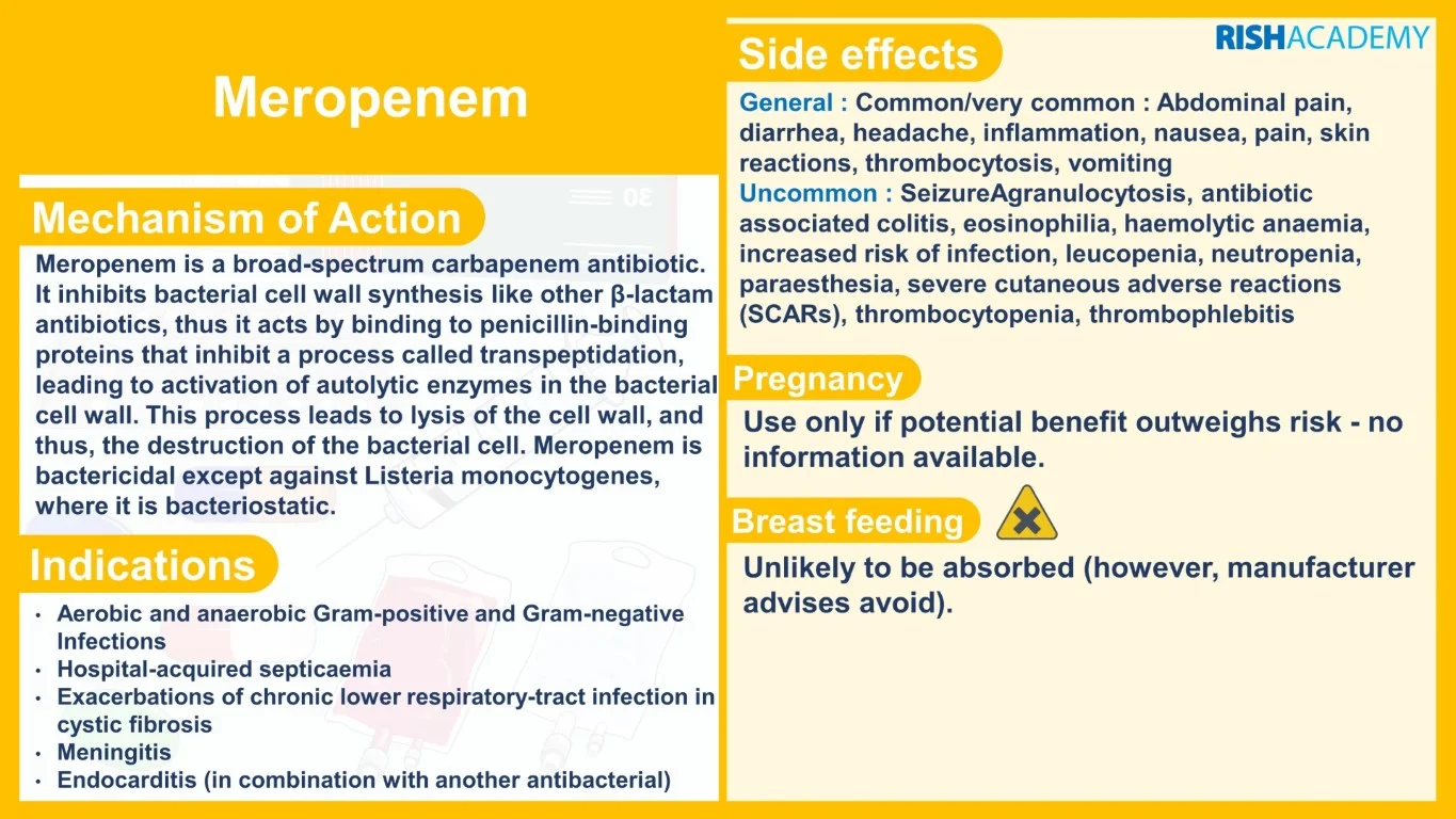 rish academy pharmacology essentials flashcards book sample image (5)