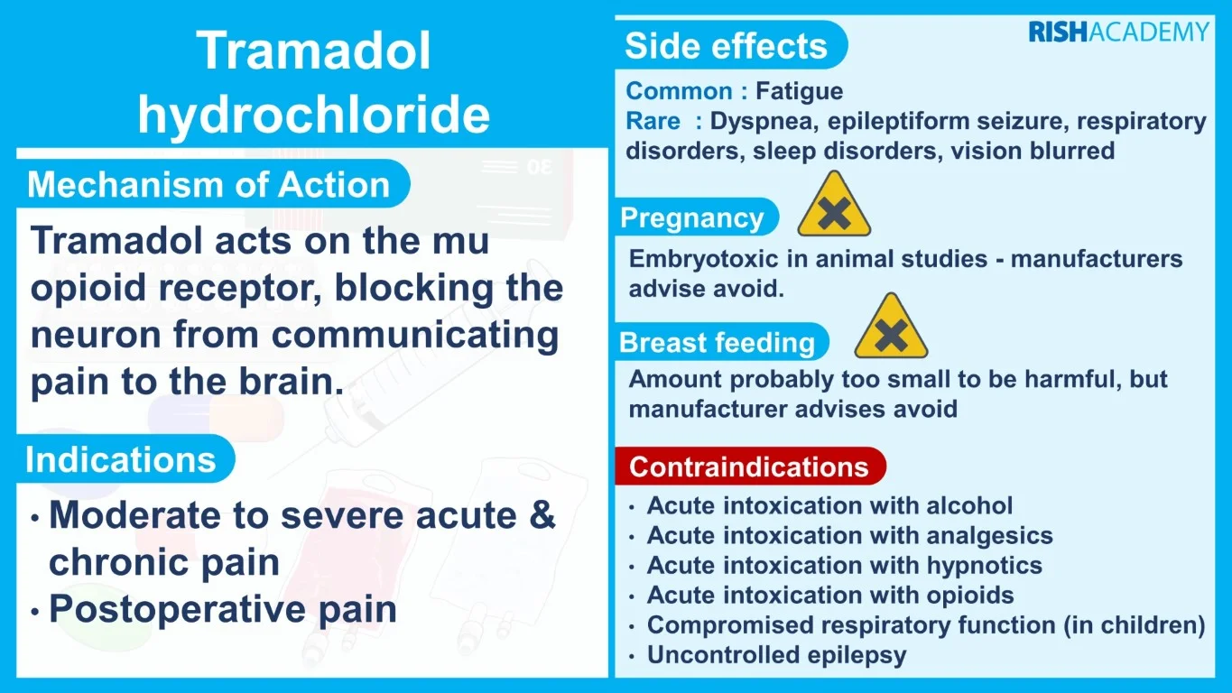 rish academy pharmacology essentials flashcards book sample image (7)