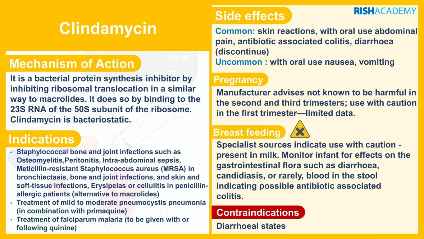 rish academy pharmacology essentials flashcards book sample image (8)